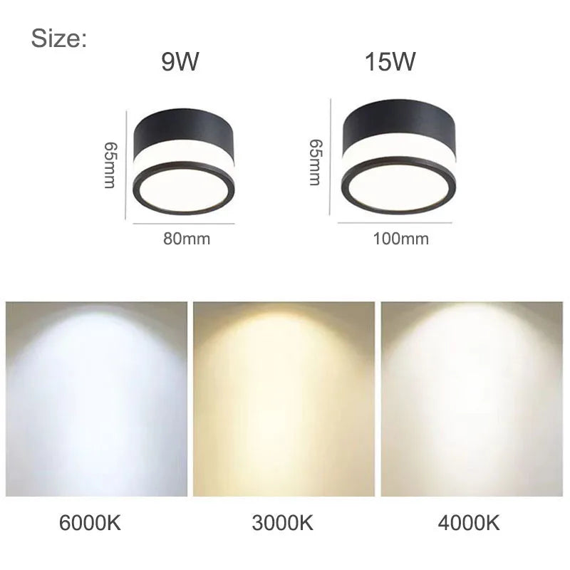 Nordic Aufputz-LED-Downlight